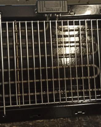 Barbecue elettrico
