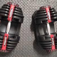 coppia manubri regolabili 