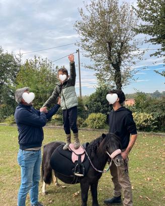 pony femmina per bambini 