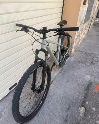 Bici MTB cannondale 2025/26 grigia