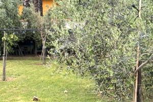 LOTTO Terreno edificabile