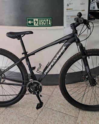 MTB 29" USATA CAMBIO SHIMANO 21 VELOCITA