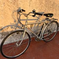 Bici Vicini Grigia