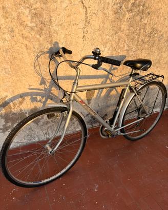 Bici Vicini Grigia