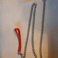 guinzaglio cane