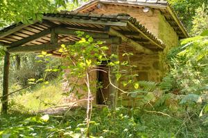 Vendita Metato San Romano in Garfagnana