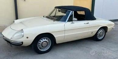 alfa romeo spider osso di seppia