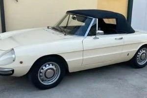 alfa romeo spider osso di seppia