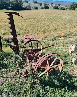 attrezzi agricoli da traino 