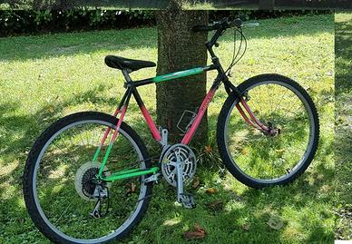 Biclicletta Mountain bike 
