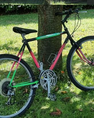 Biclicletta Mountain bike 