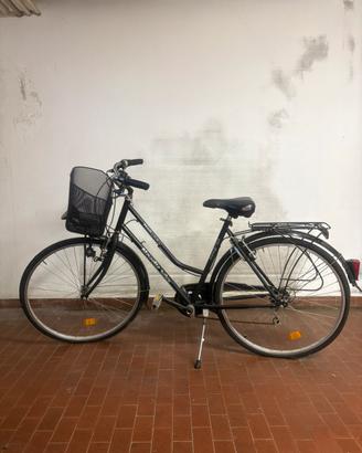 Bicicletta olandese