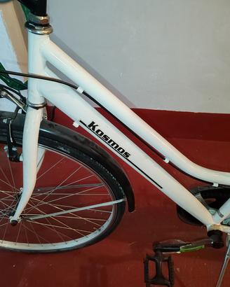 bicicletta da donna 