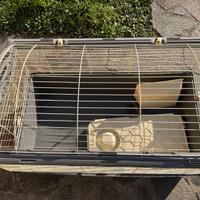 Gabbia professionale per conigli o altri animali