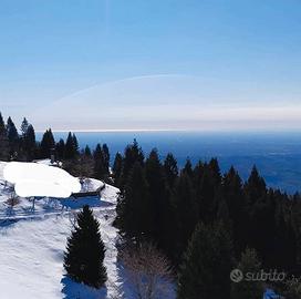 Bosco con rustico a 1200m