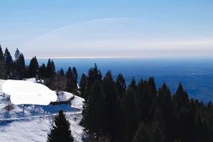 Bosco con rustico a 1200m