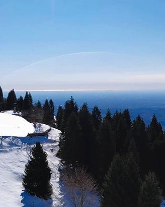 Bosco con rustico a 1200m