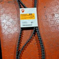 Cinghie distribuzione Ducati 