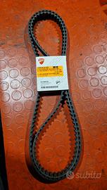 Cinghie distribuzione Ducati 