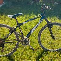 Bici ragazzo Mountain Bike della Tecnobike