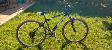 Bici ragazzo Mountain Bike della Tecnobike