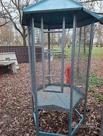 Black Friday gabbie per Animali