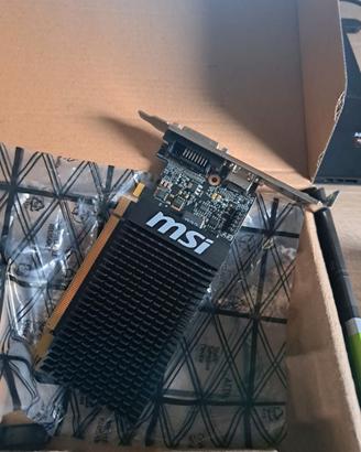 Scheda grafica GT 710 2 gb DDR3