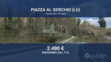 Immobile in asta di 41004 m² a Piazza al Serchio