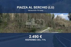 Immobile in asta di 41004 m² a Piazza al Serchio