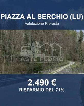 Immobile in asta di 41004 m² a Piazza al Serchio