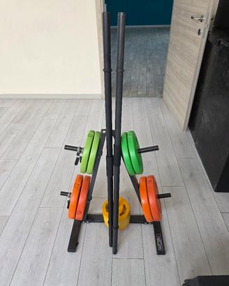 Set palestra completo di pesi manubri e portapesi
