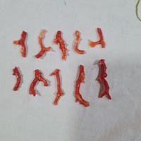 ramenni di corallo rosso vintage