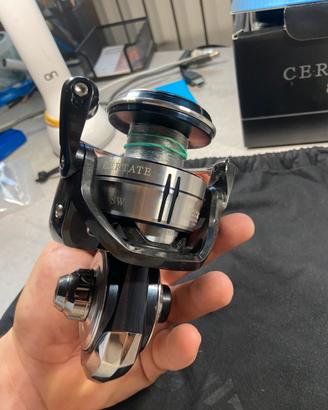 Daiwa certate sw 8000-h