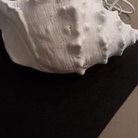 lampada conchiglia 