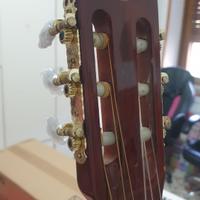 Chitarra acustica