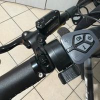 Bici elettrica