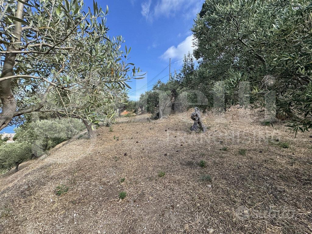 Terreno Agricolo Messina [Cod. rif 3331511VCG] - Vista 5