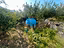 Immagine 14