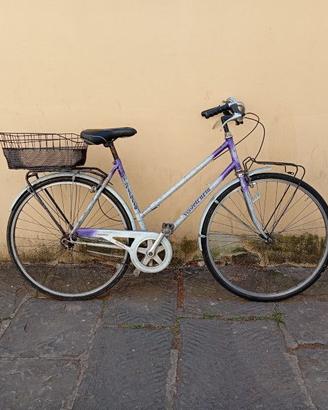 Bicicletta con cestino