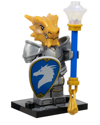 Lego Minifigures Dungeons & Dragon
