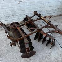 Dischiera frengizolle