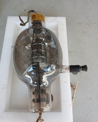 valvola termoionoca trildo 