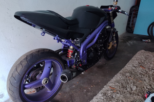 Triumph Speed triple 955i