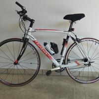 Bici Wilier Triestina