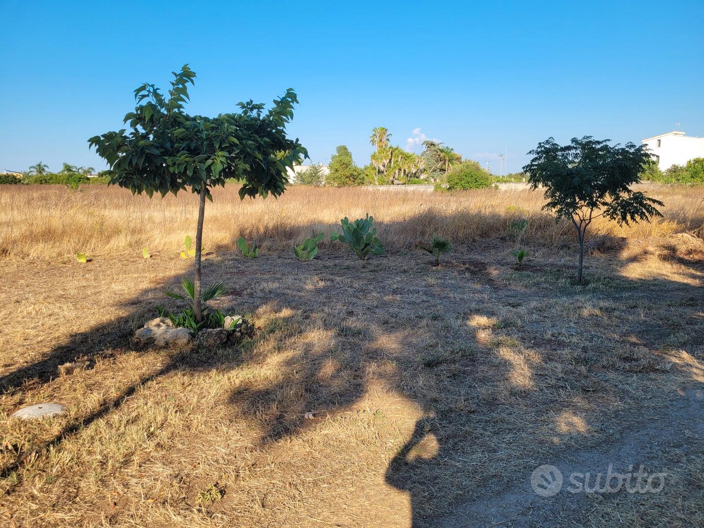 Terreno agricolo - Vista 2
