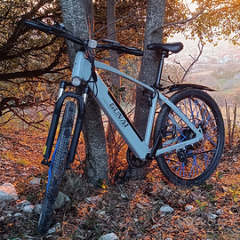 Bici elettrica, GunaI gn27