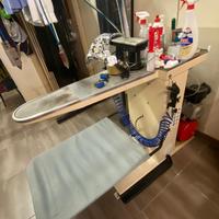 Smacchiatrice professionale