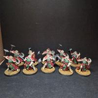 Warhammer aos Sequitors pro-painted
