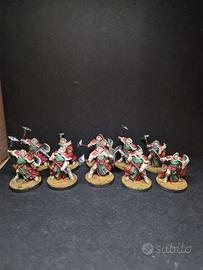 Warhammer aos Sequitors pro-painted