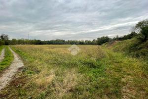 TER. AGRICOLO A VIMERCATE